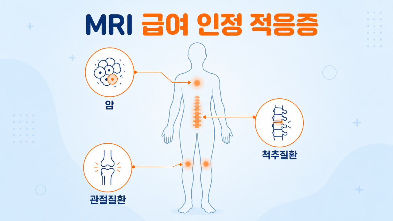 MRI 적응증 분류 인포그래픽